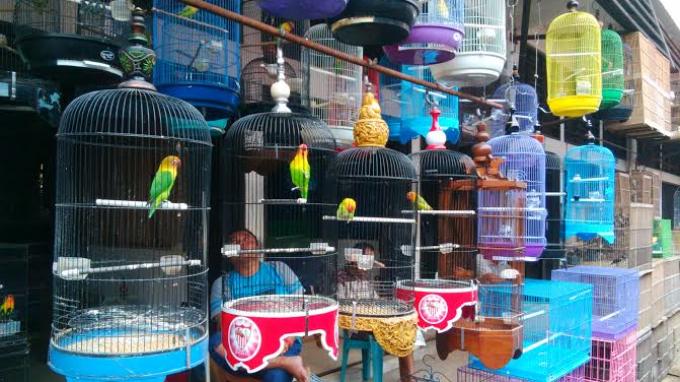 pasar-burung-depok-solo_20160531_103119